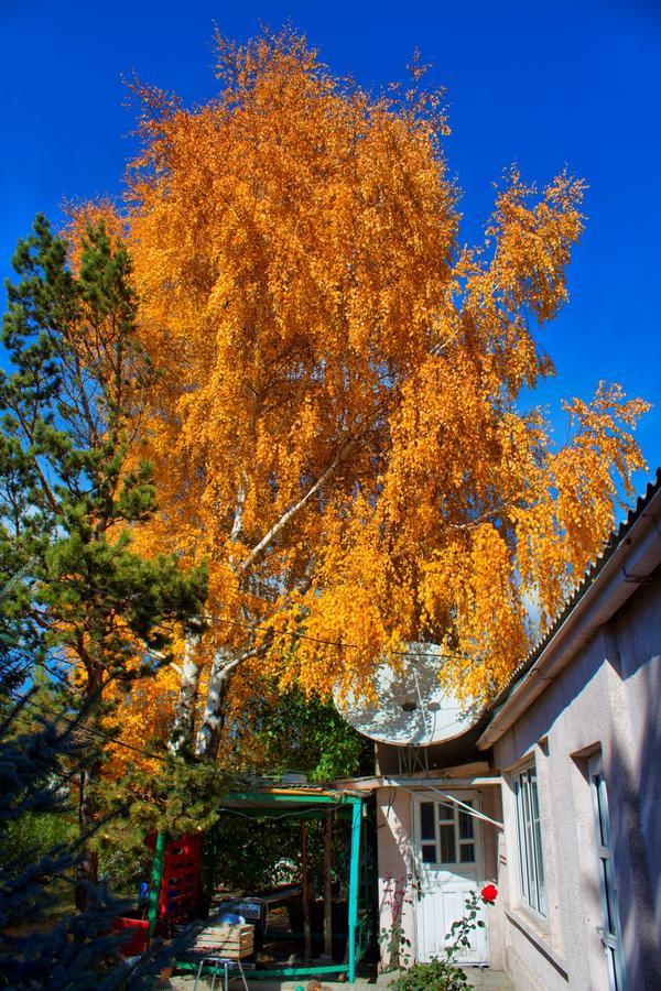 Tian-Shan Guest House Ysyk-Köl Exteriér fotografie